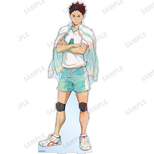 ハイキュー！！ 岩泉一 Ani-Art 第5弾 特大アクリルスタンド
