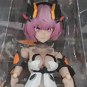 検索結果]-amiami.jp-あみあみオンライン本店-