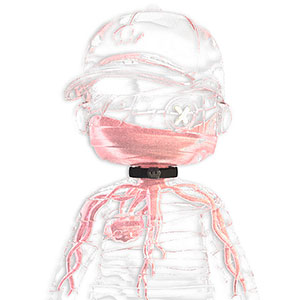 あみあみ限定特典】東方Project “表情豊かなポーカーフェイス” 秦