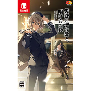 Nintendo Switch 黄昏に潜む梟と、明け方の昴