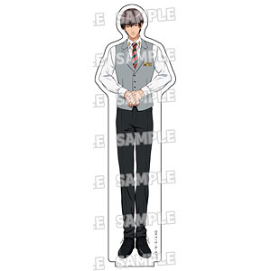 柳蓮二　テニスの王子様　テニプリ　アクリルブロック　BIGオーロラブロッキー JCS限定 『新テニスの王子様』つながるBIGアクリルパズル
