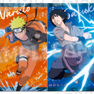 TVアニメ「NARUTO-ナルト- 疾風伝」 描き下ろしミニフォトコレクション 修業ver. vol.2 10個入りBOX