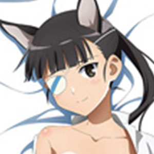 坂本美緒　ガレージキット Amazon.co.jp: ストライクウィッチーズ 坂本美緒 (1/8スケール