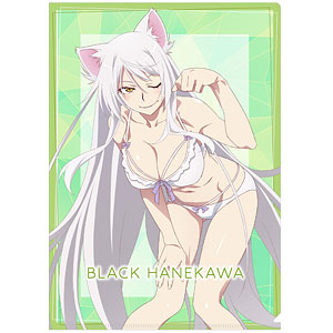 〈物語〉シリーズ クリアファイル ブラック羽川