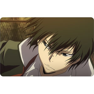 家庭教師ヒットマンREBORN！ 獄寺隼人 ビジュアルカード[アルマ