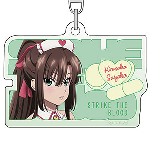 ストライク・ザ・ブラッド 描き下ろし ツイルマルチクロス 雪菜＆紗矢華[ Amazon.co.jp: /・ザ・ブラッド 姫柊雪菜 & 煌坂紗矢華 描き