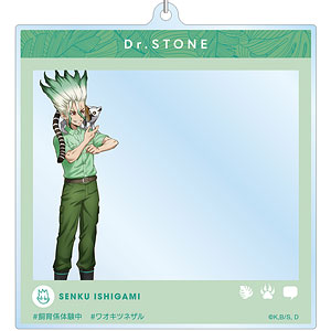 TVアニメ「Dr.STONE」 描き下ろし 石神千空 飼育係ver. SNS風BIGアクリルキーホルダー