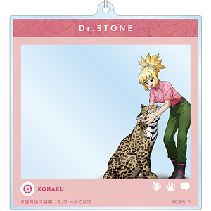 TVアニメ「Dr.STONE」 描き下ろし コハク 飼育係ver. SNS風BIGアクリルキーホルダー