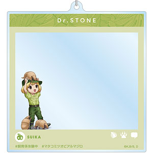 TVアニメ「Dr.STONE」 描き下ろし スイカ 飼育係ver. SNS風BIGアクリルキーホルダー