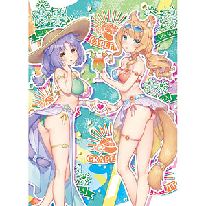 ネコぱら 水着ver. B2タペストリー NEKO WORKs NEKOPARA ネコぱら B2タペストリー(フレーズ＆時雨/水着)Wスエード