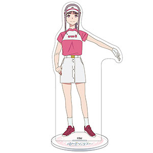 りゅうおうのおしごと！ 空銀子 猫耳姉弟子Ver. 1/7 完成品