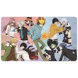 家庭教師ヒットマンREBORN！ 描き下ろし 獄寺隼人 ＆ ビアンキ(10年後