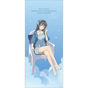 特典】夏目友人帳 クリアカードコレクションガム 初回限定版 16