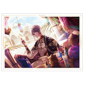 廻らぬ星のステラリウム サルース 『砂海に眠る奇跡を辿って』 A3マット加工ポスター