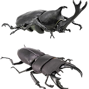 昆虫ハンター カブトムシ×クワガタ 10個入りBOX (食玩)
