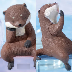 ふちやすみコツメカワウソ 10個入りBOX