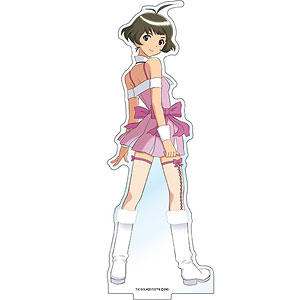 amiami アイドルマスター ディアリースターズ　缶バッジ box アイドルマスター トレーディング缶バッジ 『アイドルマスター