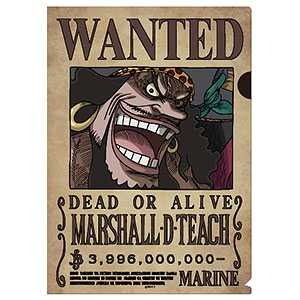 ONE PIECE 手配書トリックファイルvol.4 黒ひげ