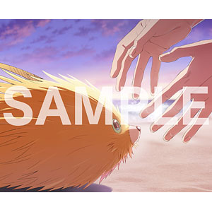 【特典】BD ふれる。 完全生産限定版 (Blu-ray Disc)