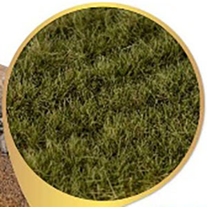 草の帯 12mm - ドライグリーン