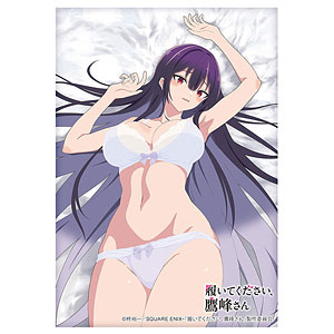 ブシロード スリーブコレクション ハイグレード Vol.4837 TVアニメ「履いてください、鷹峰さん」『鷹峰高嶺』下着ver.