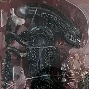 ネカ　エイリアン　ゼノモーフ　バトルダメージ版　2種 ネカ エイリアン シリーズ12 エイリアンズ / バトルダメージ版
