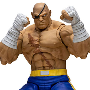 ストリートファイター サガット アクションフィギュア 1/12