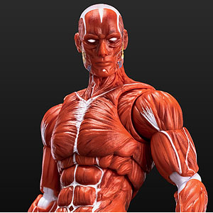 Project BM! 仮面ライダーW (サイクロンジョーカー) 1/6スケール ABS&amp;ATBC-PVC製 塗装済み可動フィギュア wyw801m Amazon.co.jp: Project BM! 仮面ライダーW (サイクロン