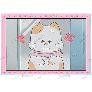 TVアニメ『ねこに転生したおじさん』 てぷちゃん 場面写BIGアクリルスタンド