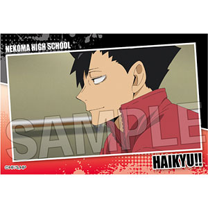 オフィシャルスリーブコレクション2013 【vガンダム】 カードマスターズ オフィシャルスリーブコレクション 2013 ν