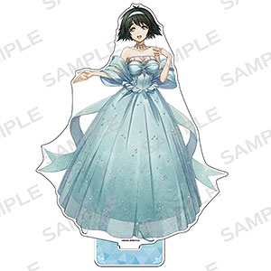 中古】(本体C/箱B)BEACH QUEENS 境界線上のホライゾン 葵・喜美
