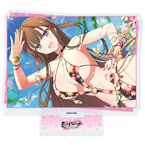 アクリルスタンド「シノビマスター 閃乱カグラ NEW LINK」116/鴇(公式イラスト)