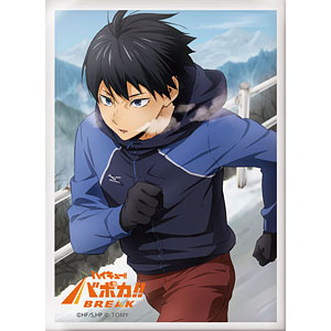 ハイキュー！！バボカ　プロモーション　ゴールドヒナガラストロフィー ハイキュー！！バボカ プロモーション ゴールドヒナガラストロフィー