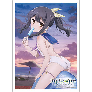 Fate プリズマ⭐︎イリヤ　クロエ　美遊　スリーブ　水着　カーテン魂　劇場版 劇場版「Fate/kaleid liner プリズマ☆イリヤ Licht 名前の無い