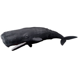 アニア AL-34 マッコウクジラ(水に浮くVer.)