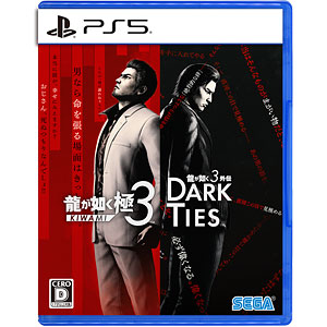 TVゲーム,携帯ゲーム