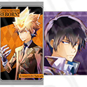 沢田綱吉 アニカプ 3点 家庭教師ヒットマンREBORN! - 沢田綱吉 Ani-Art マグカップ vol