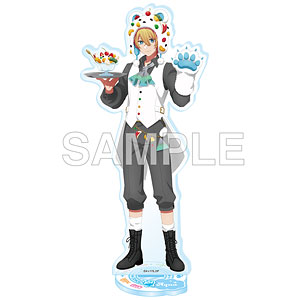 可愛ひかる A賞 アクスタ 検索結果]-amiami.jp-あみあみオンライン本店-