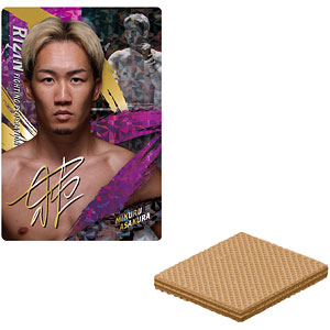 PSE プロダクツ 第1弾 スキッパー ノーマルカラー 完成品フィギュア Amazon.co.jp: PSE プロダクツ 第1弾 スキッパー ノーマルカラー