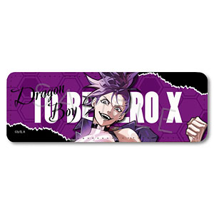 to be hero x 凸变英雄X オーロラ缶バッジ クイーン 12個