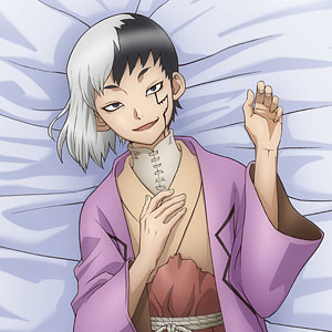 Dr.STONE 石神千空 抱き枕カバー 41fm6bl4uJL.jpg_BO30,255,255,