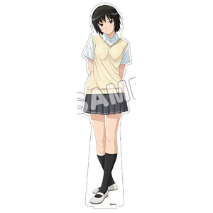 アマガミ　アマガミSS　BIGアクリルポップ+ビックアクリルポップ全14種セット 71WgUifpUPL._UF350,350_QL50_.jpg