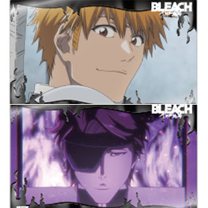 BLEACH あみあみ限定特典 L判ブロマイド 4種類 BLEACH あみあみ限定特典 L判ブロマイド 4種類