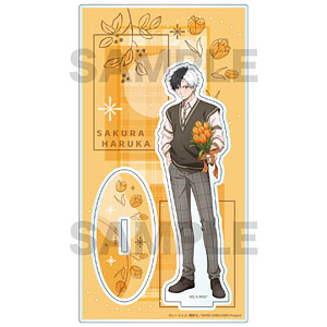 リアルアクションヒーローズ RAH220 03 人造人間キカイダー 人造