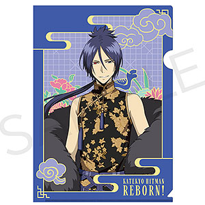 家庭教師ヒットマンREBORN! クリアポートレートカード 沢田綱吉 家庭教師ヒットマンREBORN! クリアポートレートカード 沢田綱吉
