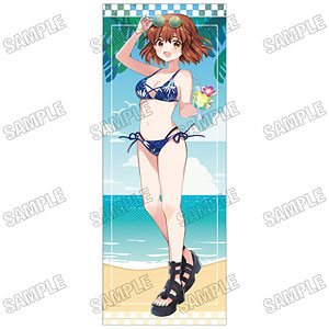 きんいろモザイク」 描き下ろし特大タペストリー 水着ver. (2)アリス