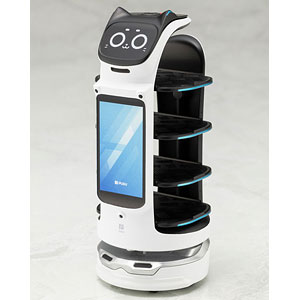 ロボットトイ