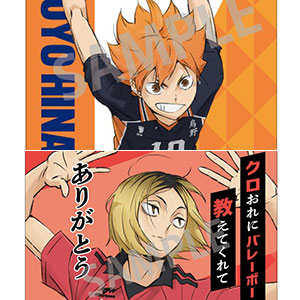 ハイキュー！！ Picharm 10個入りセット