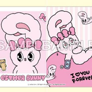 薄桜鬼 十周年記念本 ～桜花 爛漫～ (書籍)