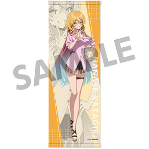 ぬきたし THE ANIMATION スリムタペストリー 渡会ヒナミ[ホビー